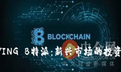 深入解析BYING B特派：新兴市场的投资机会与挑战