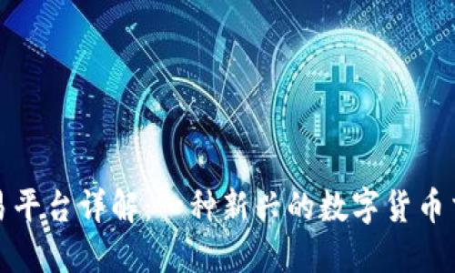 BitP交易平台详解：一种新兴的数字货币交易选择