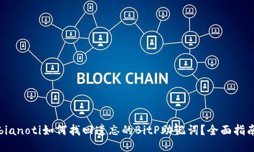 bianoti如何找回遗忘的BitP助记词？全面指南