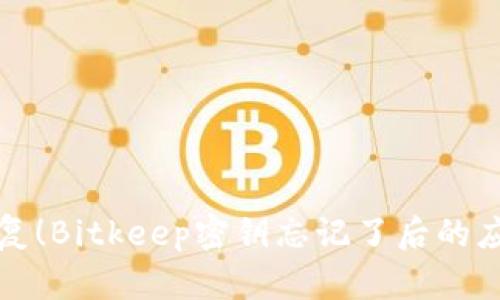 立即恢复！Bitkeep密钥忘记了后的应对措施