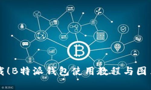 立即下载！B特派钱包使用教程与图片大全集