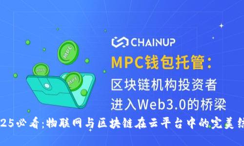 2025必看：物联网与区块链在云平台中的完美结合