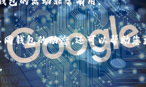 以下是关于如何在B特派（Btop）中添加观察钱包的详细步骤。如果您需要具体的指南和操作步骤，请参考以下内容：

第一步：打开B特派应用
首先，确保您已经下载并安装了B特派应用。打开应用后，您将看到主界面，通常包括您的账户信息、钱包余额等信息。

第二步：找到“我的”或“账户”选项
在主界面的底部或侧边菜单中，寻找“我的”或“账户”选项。点击进入将带您到个人账户的管理页面。

第三步：选择“观察钱包”功能
在账户管理页面中，您可能会看到“观察钱包”或类似的选项。点击这个选项，进入观察钱包的设置页面。

第四步：添加新钱包
在观察钱包页面，您将看到一个“添加钱包”的按钮或链接。点击后，系统可能会提示您输入要观察的钱包地址。确保您输入的地址是正确的，以避免可能的资金损失。

第五步：确认添加
输入钱包地址后，通常会有一个确认按钮。点击确认后，您将需要稍等片刻，系统会处理您的请求并添加此钱包到观察列表中。

第六步：查看观察钱包历史
添加完成后，您可以在观察钱包的列表中查看该钱包的交易历史和余额。这对于监控其他钱包的活动非常有用。

总结
通过以上步骤，您就可以轻松地在B特派中添加观察钱包。观察钱包功能不仅方便您跟踪不同钱包的动态，还可以帮助您更好地管理资产。然而，务必确保输入的钱包地址的准确性和安全性，以防止不必要的风险。

如果在使用过程中遇到任何问题，可以查看B特派的官方帮助文档或联系客服以获取支持。