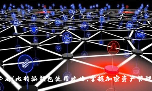 2025必看！比特派钱包使用攻略，掌握加密资产管理的关键
