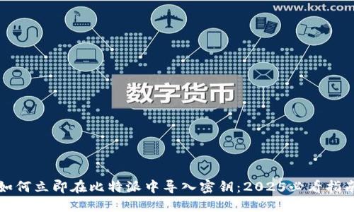 如何立即在比特派中导入密钥：2025必看指南