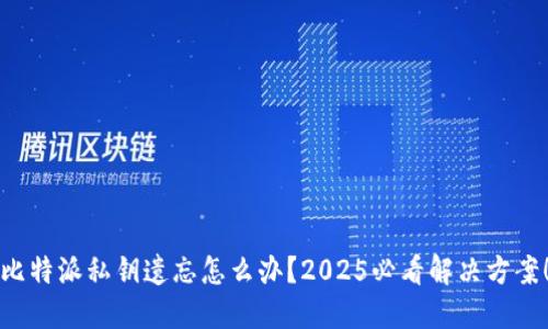 比特派私钥遗忘怎么办？2025必看解决方案！