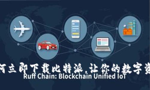 2025必看：如何立即下载比特派，让你的数字资产管理更轻松