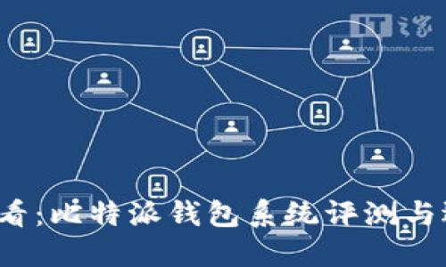 2025必看：比特派钱包系统评测与选择指南