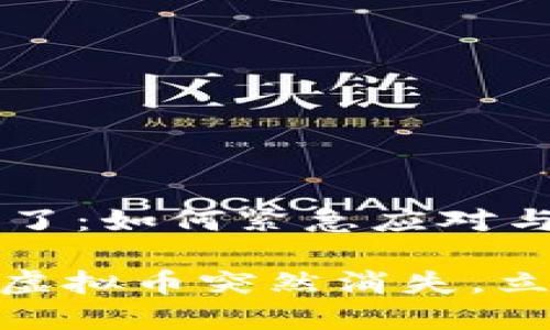 比特派的虚拟币突然没有了：如何紧急应对与保护资产

2023年最新指南：比特派虚拟币突然消失，立即采取措施保护你的资产