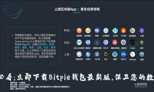 2025必看：立即下载Bitpie钱包最新版，保卫您的数字资产