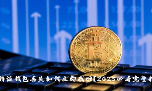 比特派钱包丢失如何立即找回？2025必看完整指南