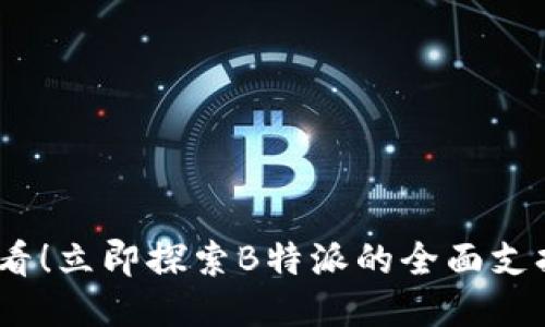 2025必看！立即探索B特派的全面支持与服务