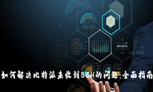 如何解决比特派未收到BCH的问题：全面指南