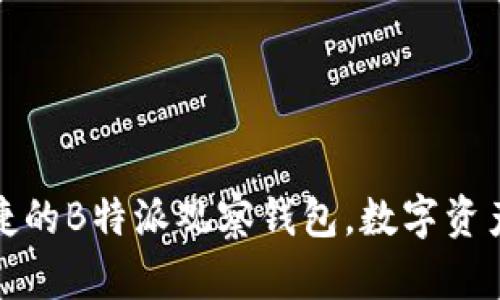 打造安全便捷的B特派观察钱包，数字资产管理新选择