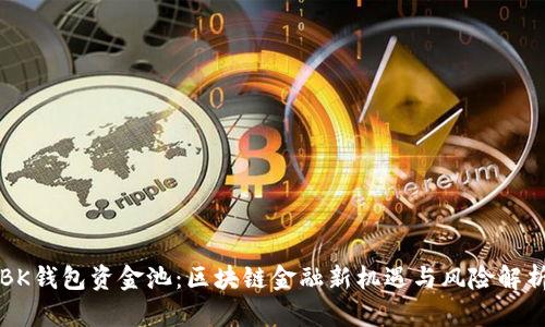BK钱包资金池：区块链金融新机遇与风险解析