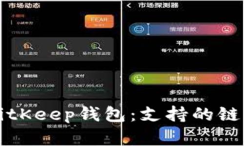 深入解析BitKeep钱包：支持的链与功能全解
