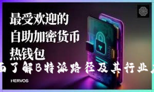 全面了解B特派路径及其行业应用