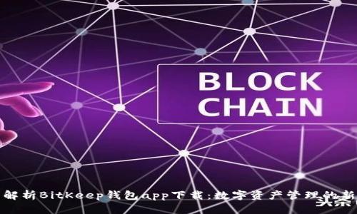 全面解析BitKeep钱包app下载：数字资产管理的新选择