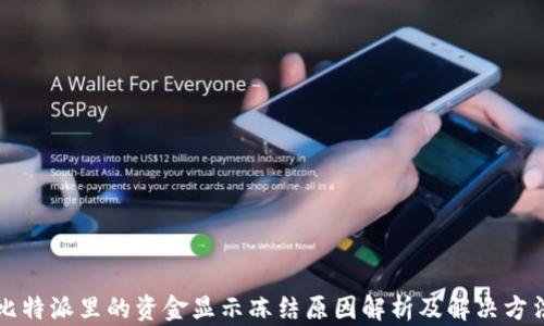 
比特派里的资金显示冻结原因解析及解决方法