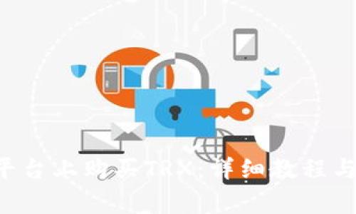 如何在B特派平台上购买TRX：详细教程与常见问题解析