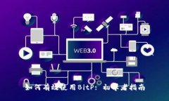 如何有效使用BitP: 初学者指南