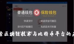 深入探索区块链技术与比特币平台的未来发展