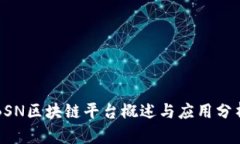 BSN区块链平台概述与应用