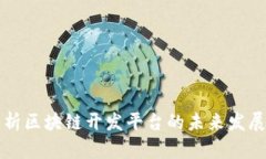 全面解析区块链开发平台