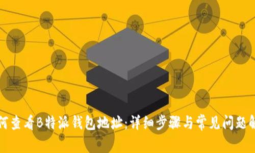 如何查看B特派钱包地址：详细步骤与常见问题解答