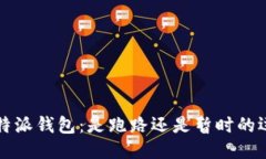 ### b特派钱包：是跑路还是