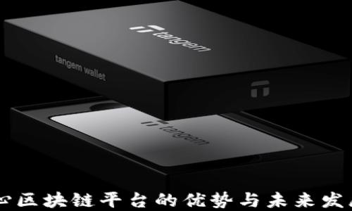 
多中心区块链平台的优势与未来发展探索