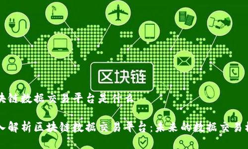 区块链数据交易平台是什么

深入解析区块链数据交易平台：未来的数据交易模式