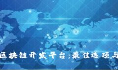 如何选择区块链开发平台