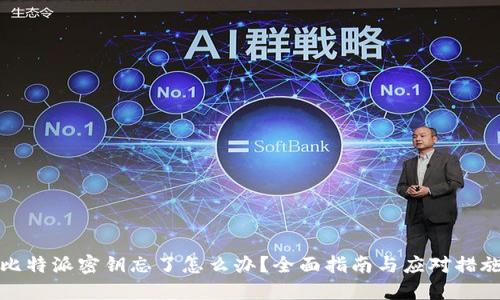 比特派密钥忘了怎么办？全面指南与应对措施