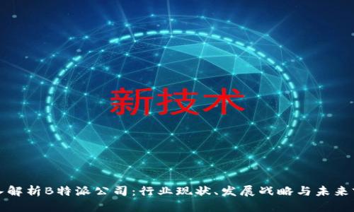 深入解析B特派公司：行业现状、发展战略与未来前景