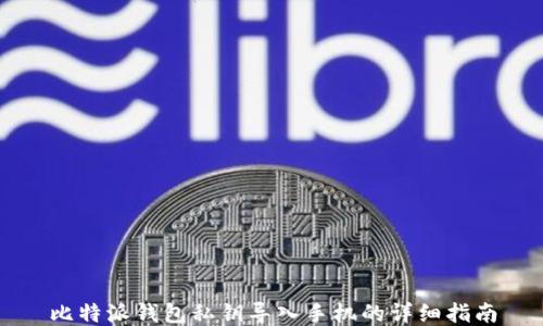 
比特派钱包私钥导入手机的详细指南