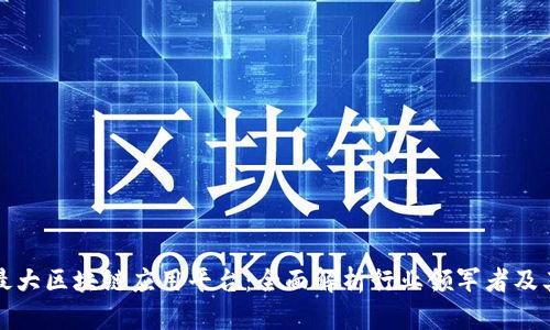 国内最大区块链应用平台：全面解析行业领军者及其影响
