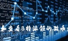 如何获取和查看B特派领的