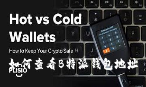 如何查看B特派钱包地址