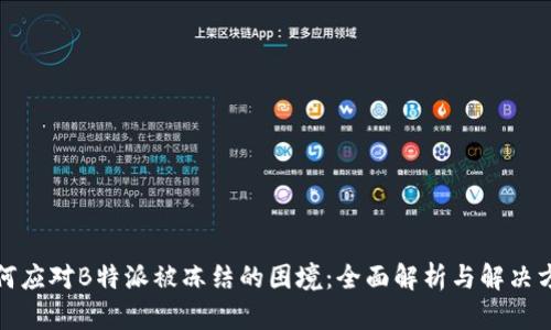 如何应对B特派被冻结的困境：全面解析与解决方案