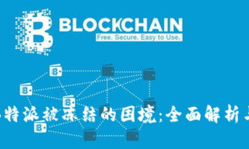 如何应对B特派被冻结的困境：全面解析与解决方案