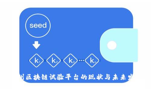 贵州区块链试验平台的现状与未来发展