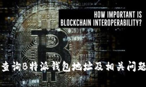 如何查询B特派钱包地址及相关问题解答