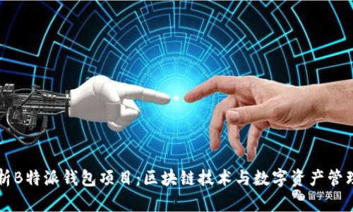 深入解析B特派钱包项目：区块链技术与数字资产管理的未来