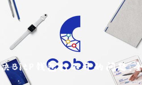 如何解决BitP钱包打不开的问题：全面指南