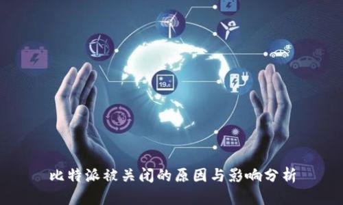 比特派被关闭的原因与影响分析