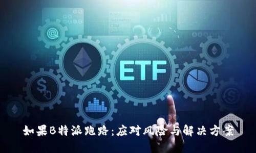 如果B特派跑路：应对风险与解决方案
