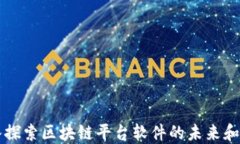 深入探索区块链平台软件