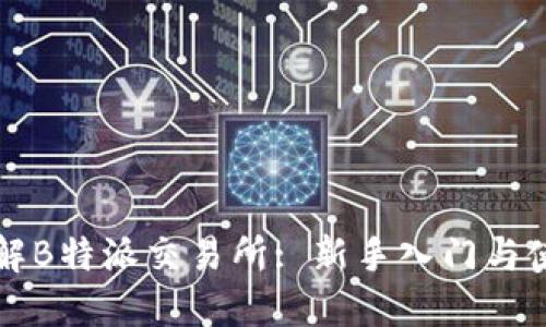 全面了解B特派交易所: 新手入门与使用指南