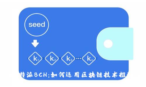 深入了解B特派BCH：如何运用区块链技术推动业务创新